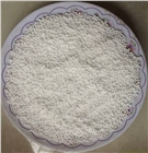 邵武泡沫濾珠濾料哪里賣？