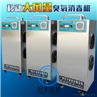 食品廠車間用臭氧殺菌機