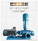 三葉羅茨風(fēng)機(jī)廠家直銷濟(jì)南利業(yè)機(jī)械污水處理曝氣機(jī)回轉(zhuǎn)風(fēng)機(jī)